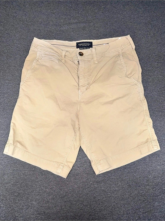 American Eagle Outfitters Other - American Eagle Men's Flat Front Shorts Beige Waist 28